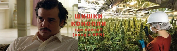 прущие грибы Семилуки