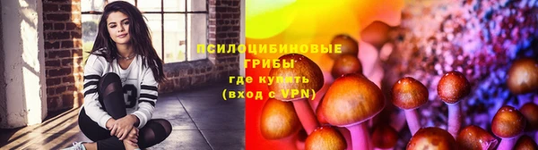 прущие грибы Семилуки