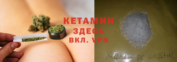 прущие грибы Семилуки