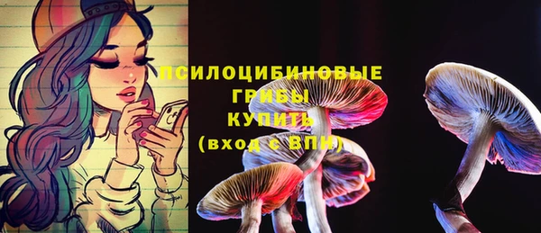 а пвп мука Семёнов