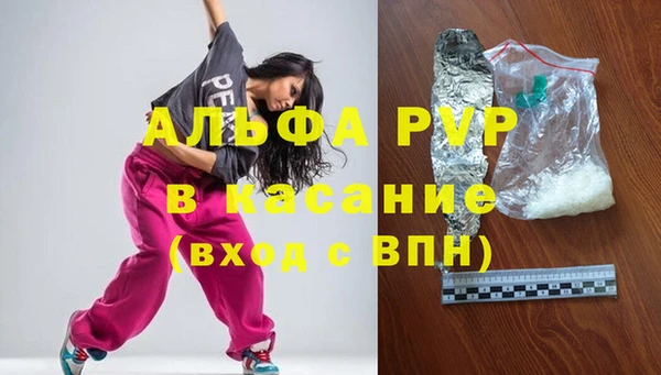 прущие грибы Семилуки
