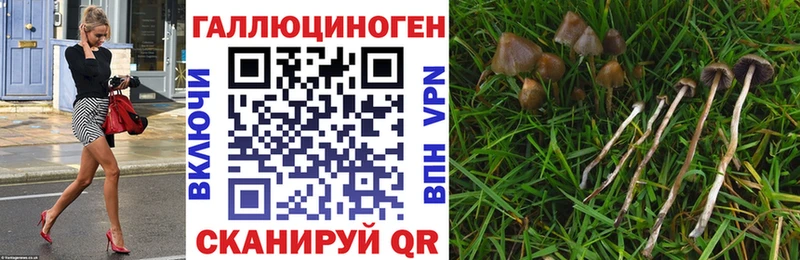 Галлюциногенные грибы MAGIC MUSHROOMS  Суворов 